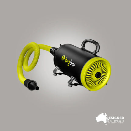 BigBoi BlowR Mini - Electric Dryer (2500 W)