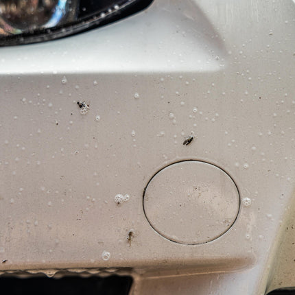 Auto Finesse Citrus Power - pH Neutral Bug & Grime Remover (1 L)