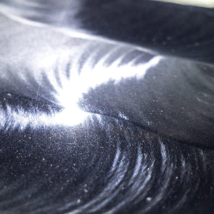 Auto Finesse DPX Dual Action Polisher - Orbitální leštička s 15mm výkmitem