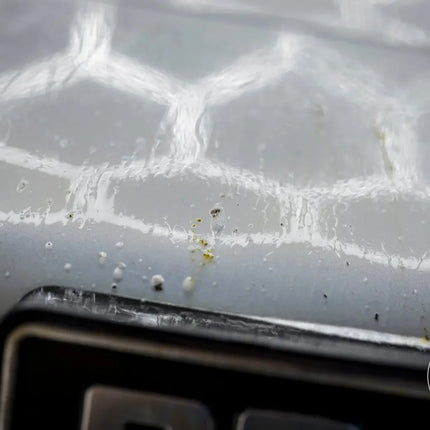 Bug Remover | Odstraňovač hmyzu 5L